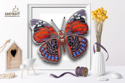 3-D бабочка. Б-016 Agrias Claudina